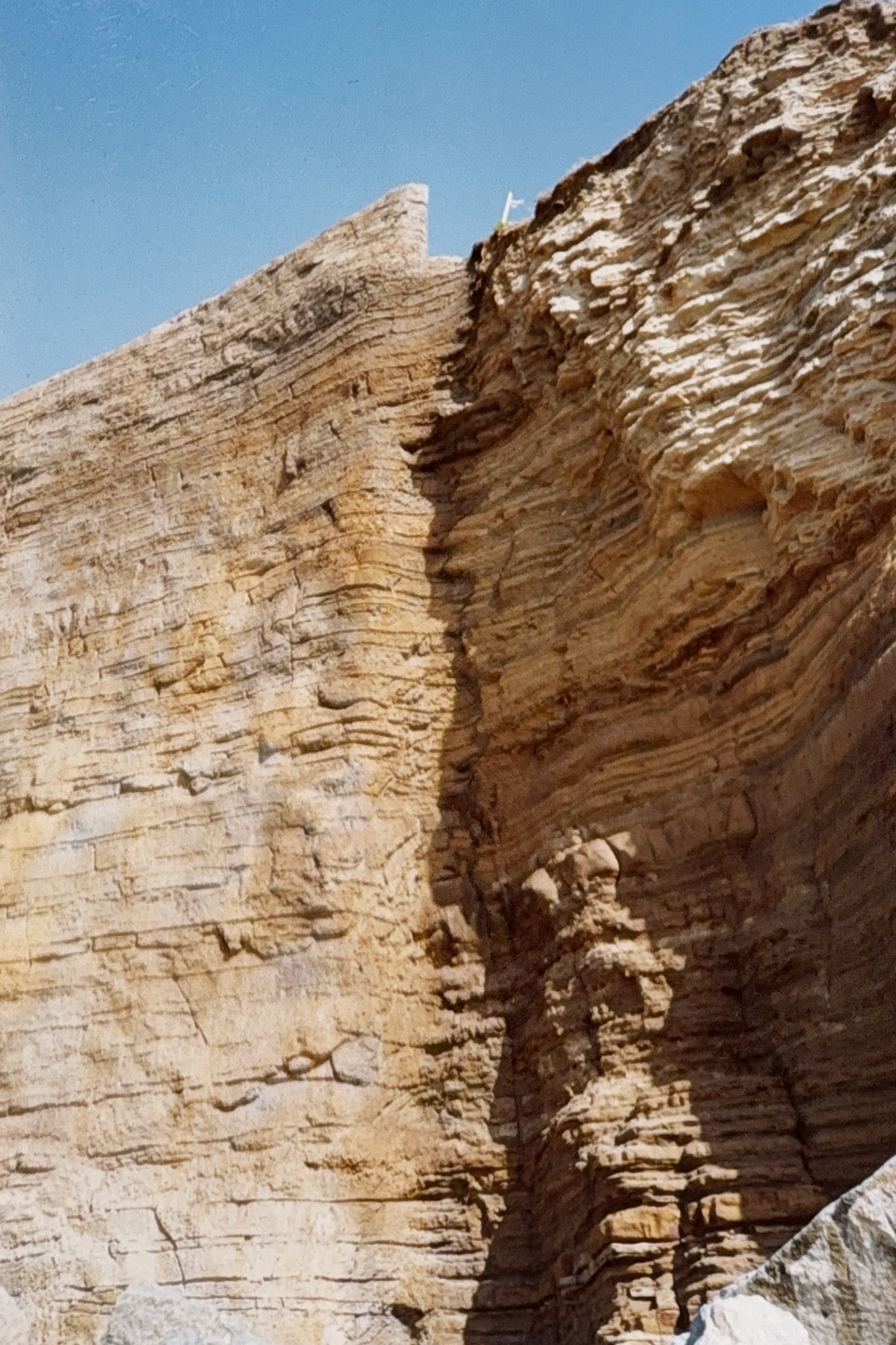 Transition between the carved decorative shotcrete and the natural Point Loma rock face