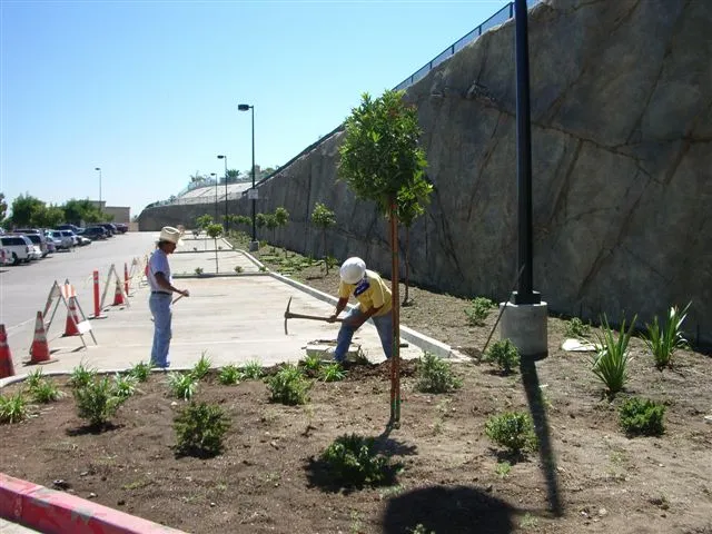 Walmart wall repair site conditions